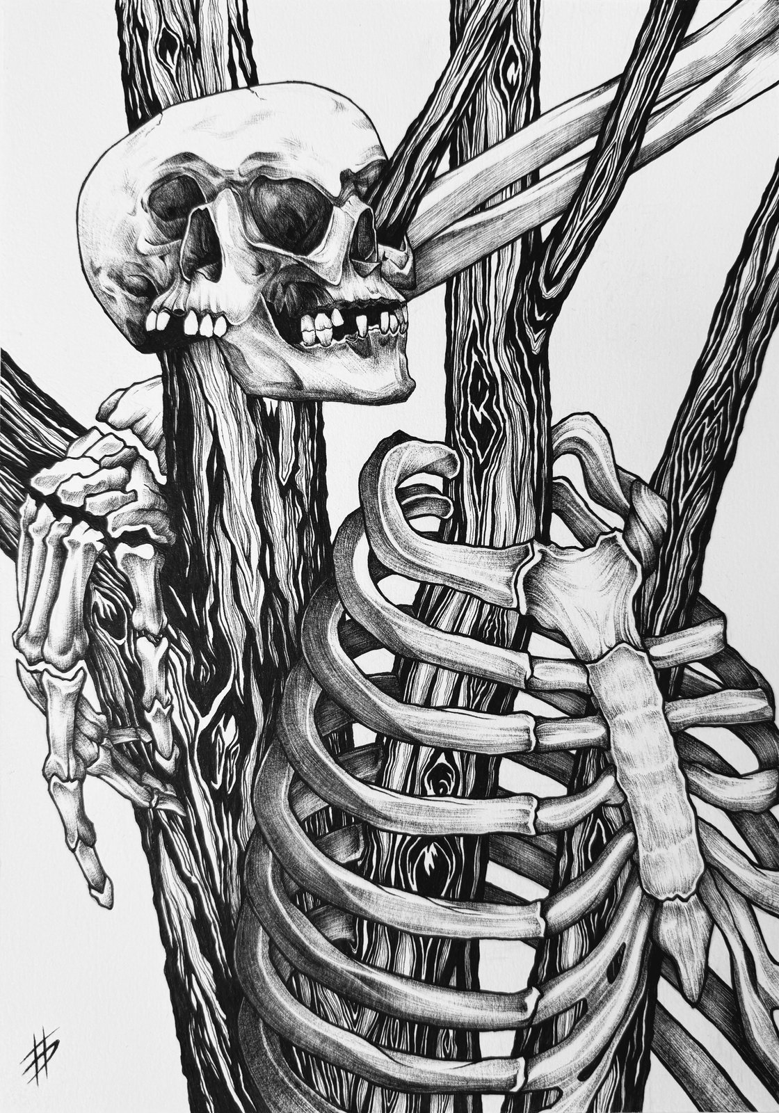 Esqueleto y árbol — Tinta sobre papel