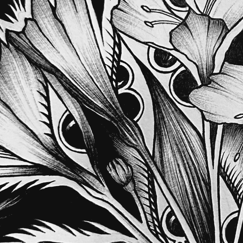 Ramo de ojos — detalle 2